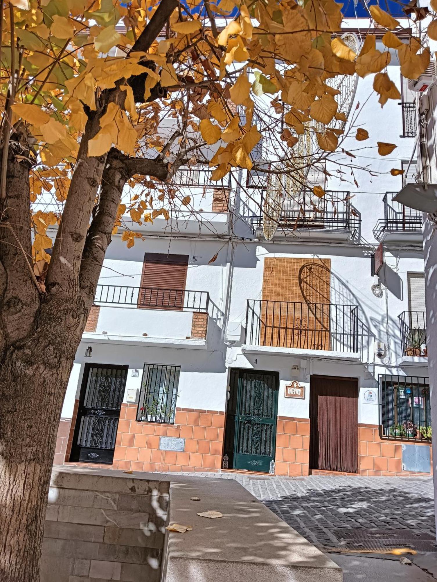 圭哈尔谢拉La Casa De La Plaza公寓 外观 照片